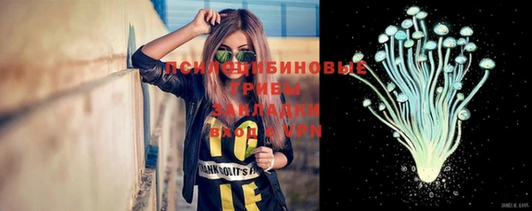 гашик Армянск